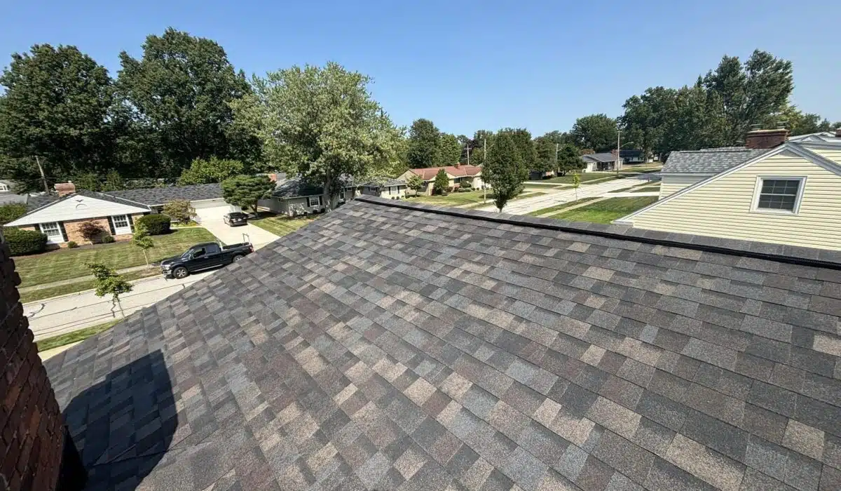 professional roof inspections